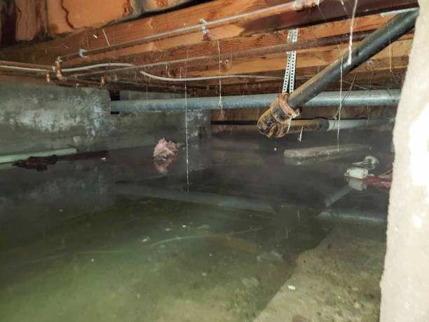 Best Commercial water damage restoration  in Clovis, CA