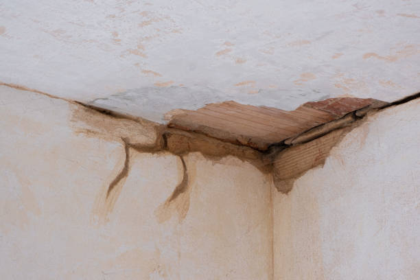 Best Commercial water damage restoration  in Clovis, CA