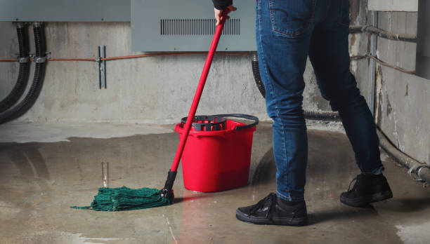 Best Flood restoration services  in Clovis, CA