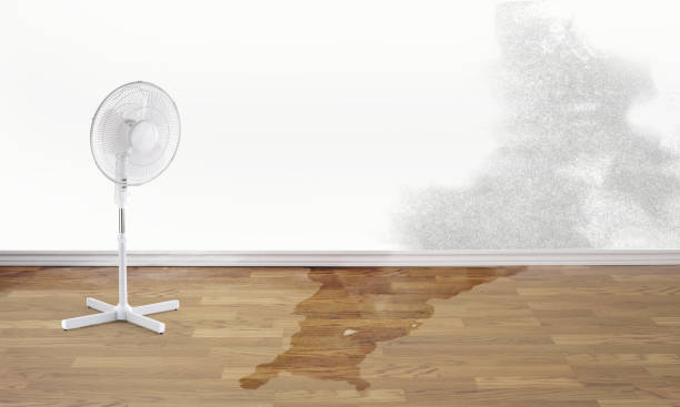 Best Water damage cleanup near me  in Clovis, CA