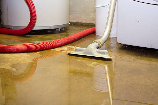 Trusted Clovis, CA Water damage restoration Experts