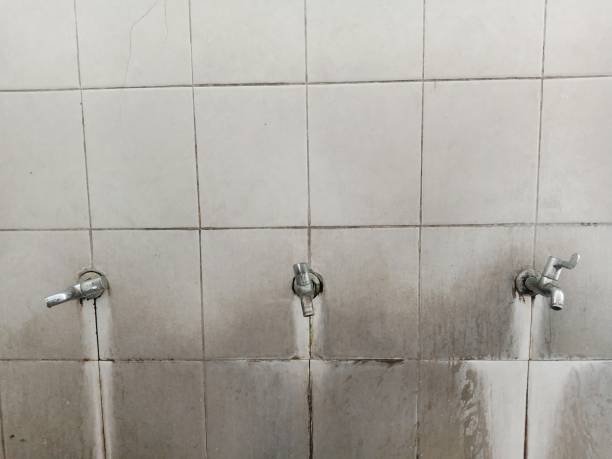 Best Water damage restoration near me  in Clovis, CA