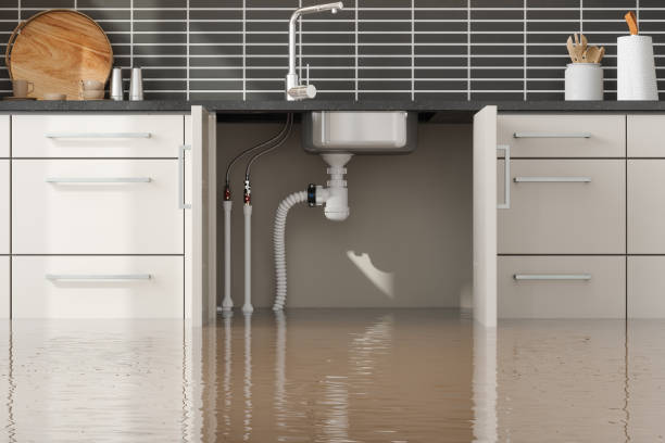 Best Flood restoration services  in Clovis, CA